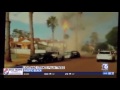 Palm tree busts into flames after lightning strike