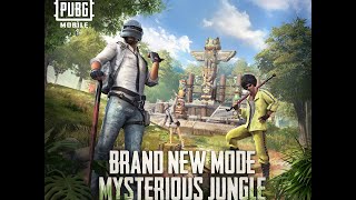 PUBG Mobile: Top 3 features Of Jungle Adventure mode