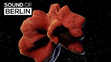 Dan Curtin - Soul System (Official Video)