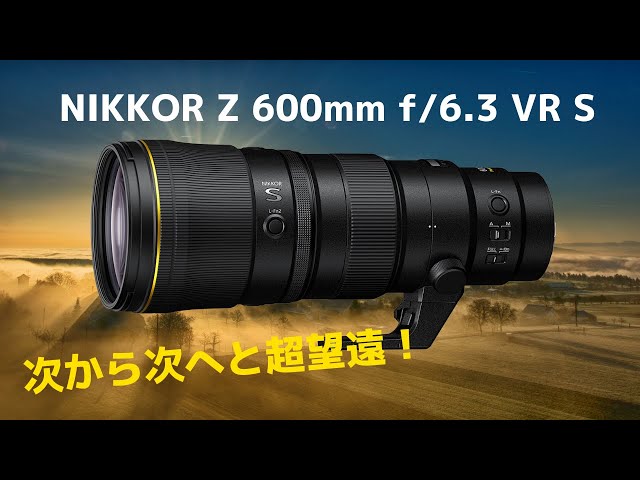 タムロン 150-600mm F6.3 初期型 Nikonマウント(Fマウント) Amazon.com : Tamron SP 150-600mm F/5-6.3 Di VC USD for Nikon