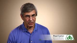Plant Population Trials for Corn