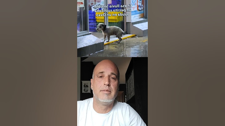 Hours in the rain outside a store, but no one paid attention. #animals #dogs