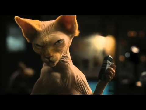 old-cats-movie-trailer