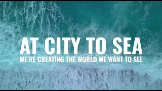 City to Sea - Turning the Tide on Plastic Pollution 🌊