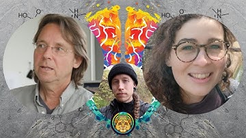 The Effects of Psilocybin on Creativity | Natasha Mason & Jan Ramaekers ~ ATTMind 145