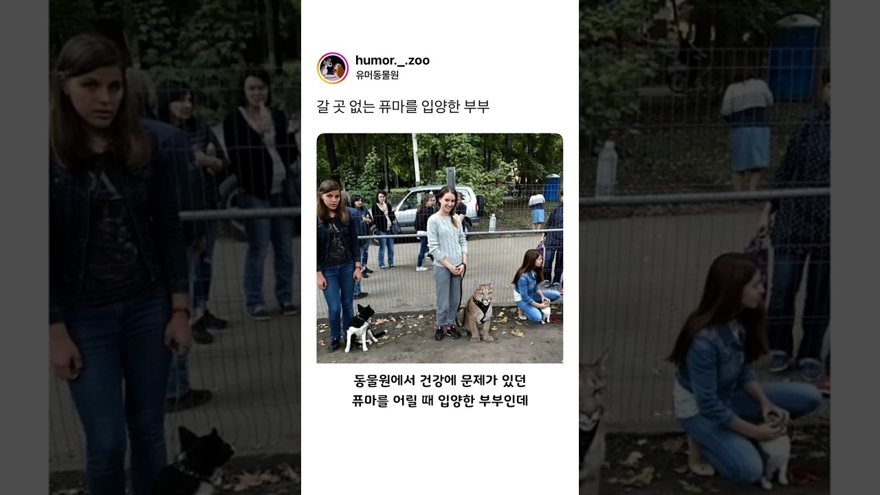 갈 곳 없는 퓨마를 입양한 부부