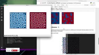 reaction_diffusion