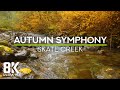 Gentle Sounds of Autumn Skate Creek for Deep Relaxation - 8K Fall Foliage Colors of a Forest River