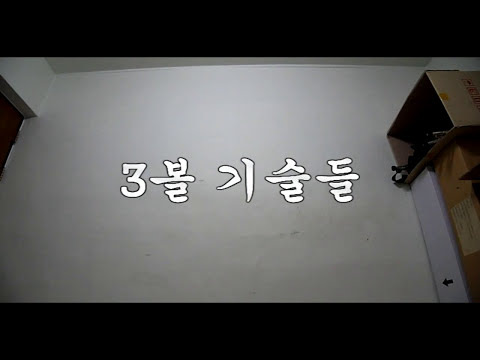 090824/3볼기술들