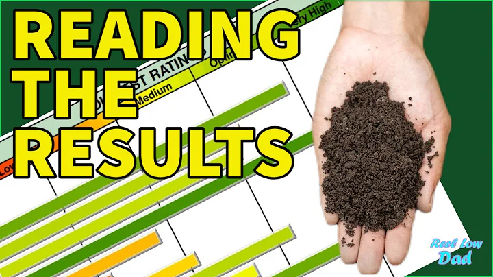 Soil Test Results | How to Determine What is Needed for Your Lawn