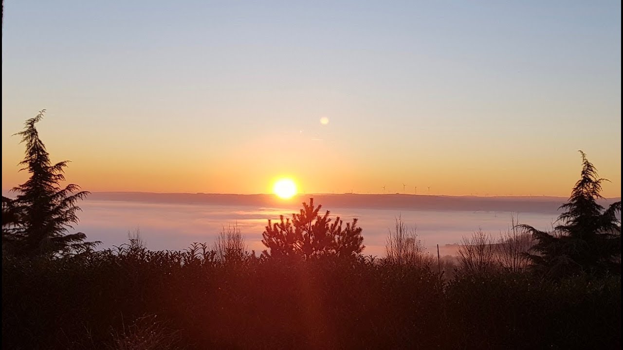 Для настроения!! Обожаю наблюдать за красотой и потешным Кенаром. - YouTube