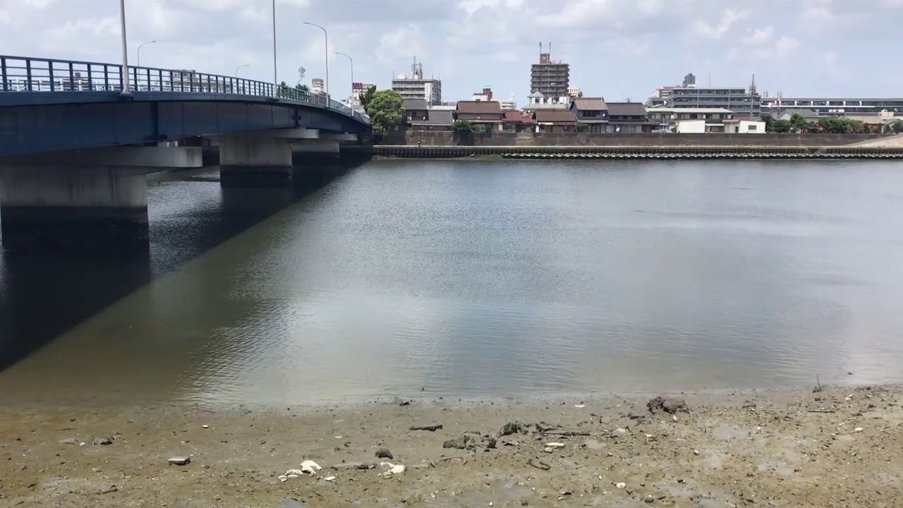 天白川 人気シーバス釣りポイント 千鳥橋 名古屋市 黒鯛 セイゴ Youtube