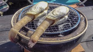 奇妙な貝を丸焼きにしてみた・・・