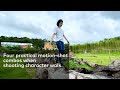 Four down-to-earth camera motion skills - How to video character walking