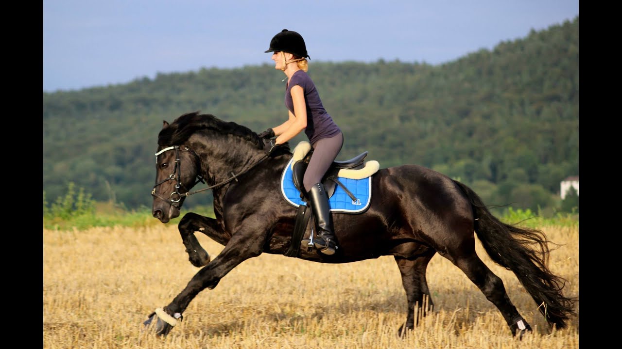 Live like you'll never die