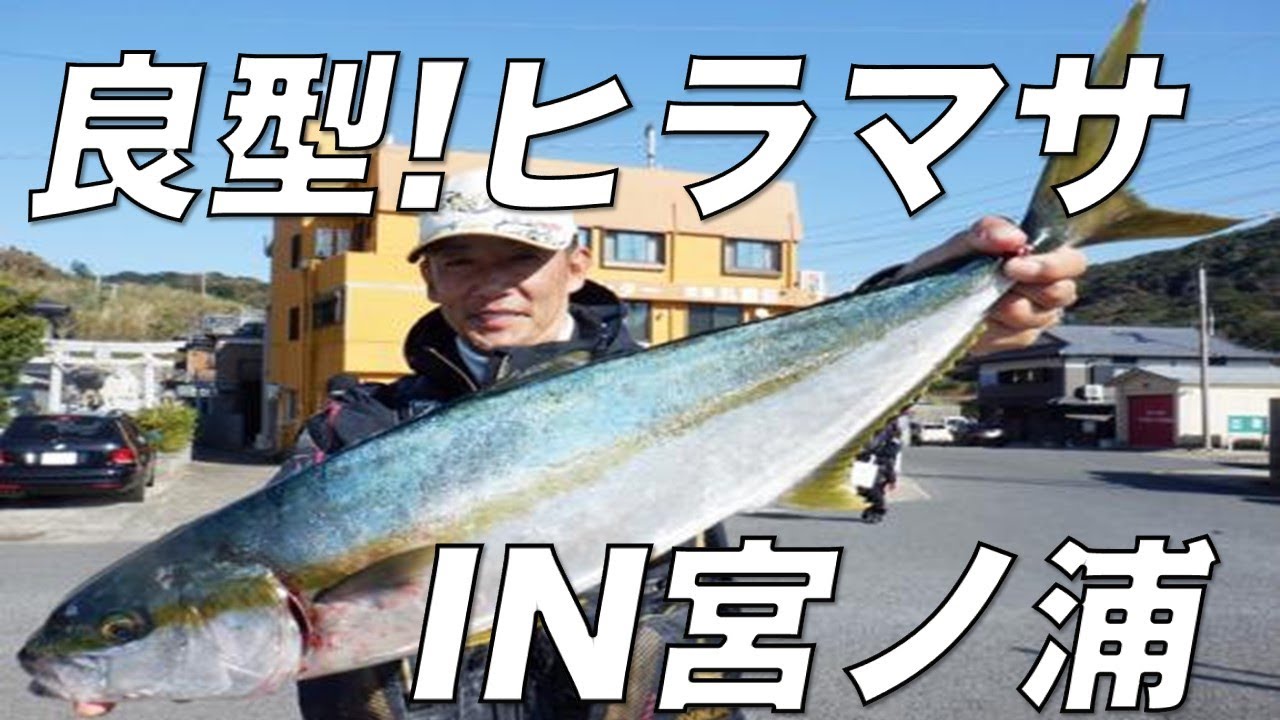 Fishing trip for yellowtail amberjack with a basket rig at