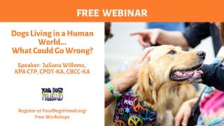 Dogs Living in a Human World – What Could Go Wrong? - 8/8/20