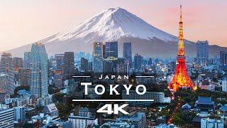 Tokyo, Japan - By Drone 4K