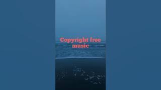 meet & fun of shane no copyrighat music 