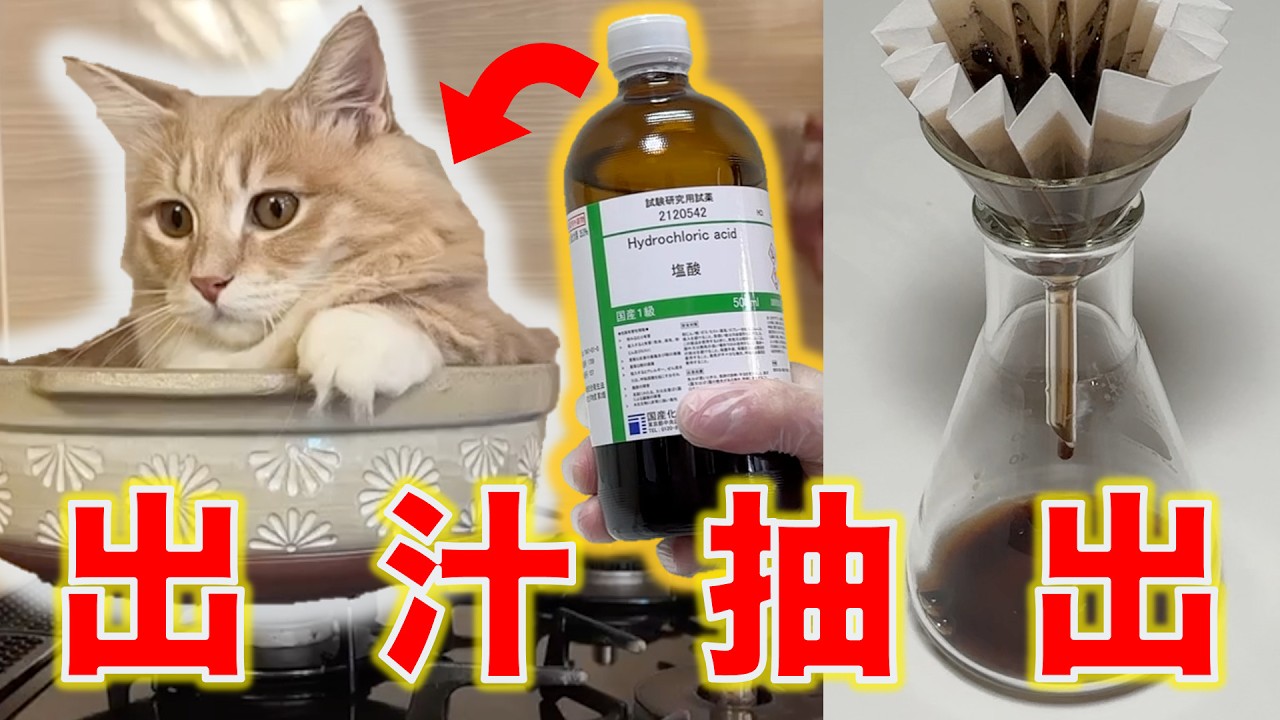 【合法】食べちゃいたいくらい可愛い猫を本当に味わってみた