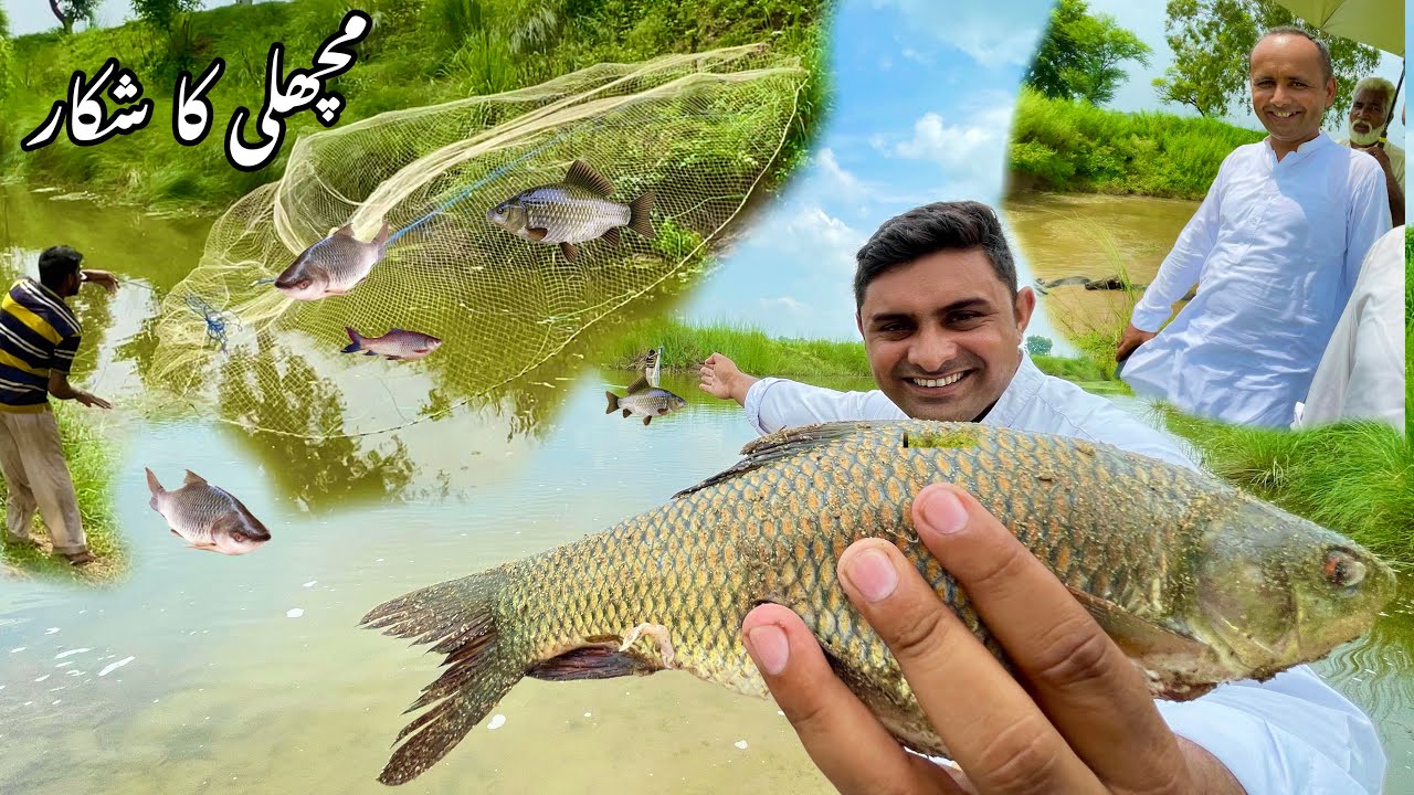 Fish Hunting How to Catch Fish with Jaal Catch Fish in little River