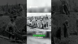 Любовь в Гулаге.  #документальныйфильм #шортс  #топ  #ссср  #история #гулаг  #тюрьма #зона