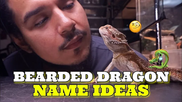 Ultimate Guide to Naming Bearded Dragons