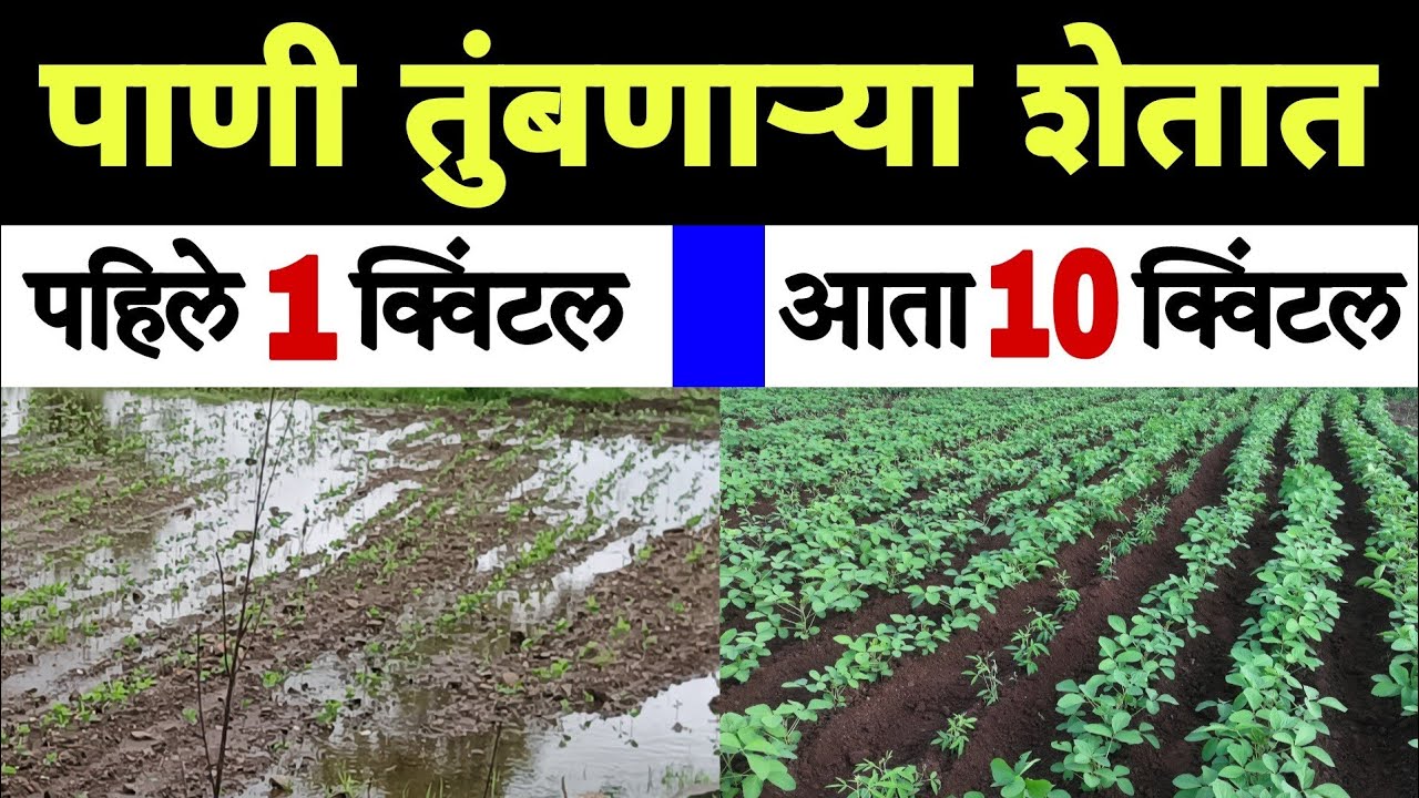 पाणी तुंबणाऱ्या/चिभडणाऱ्या शेतात 100% उत्पादन | ही वापरा पद्धत | वाढवा उत्पादन | Dnyaneshwar Kharat