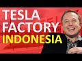 New Tesla Battery Factory in Indonesia - First Terafactory?