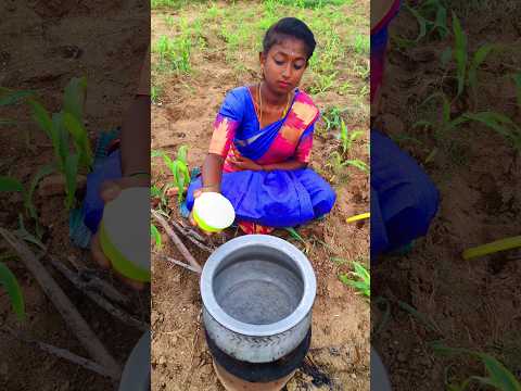 Sweet Ragi Adai