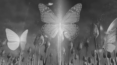 MYSQFLX - Morabel / Synth-pop made with Digitone, Octatrack, Super6, Mono Lancet and OB-6.