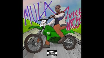 Juice WRLD - Mula (Best Updated Remaster w/ CDQ Snippets)