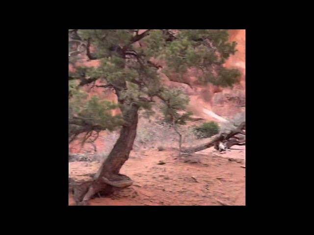 Hiking through a canyon in Arches NP from Devils Garden Campground-April 2022