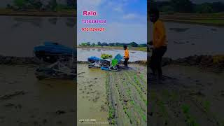 Ralo Ricetransplanter