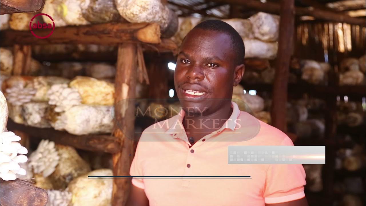 How to Grow Mushrooms - YouTube