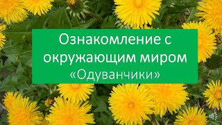 Окружающий мир \