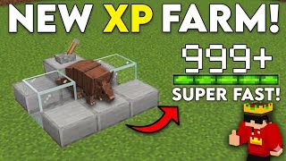 🔥This NEW Armadillo Farm Gives Infinite XP &amp; Scutes Instantly! ⚡😱