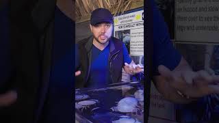 World's Largest Isopod! 😳