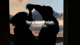 Tera mera viah (slowed reverb)