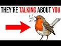 The Birds Outside Your Window Are Talking About You Right Now (Science Confirmed It)