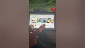 How to Connect a Controller to a Switch Lite