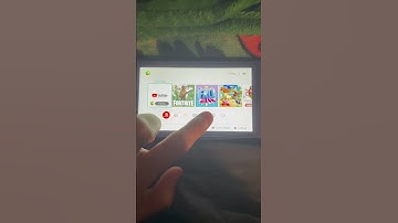 How to Connect a Controller to a Switch Lite