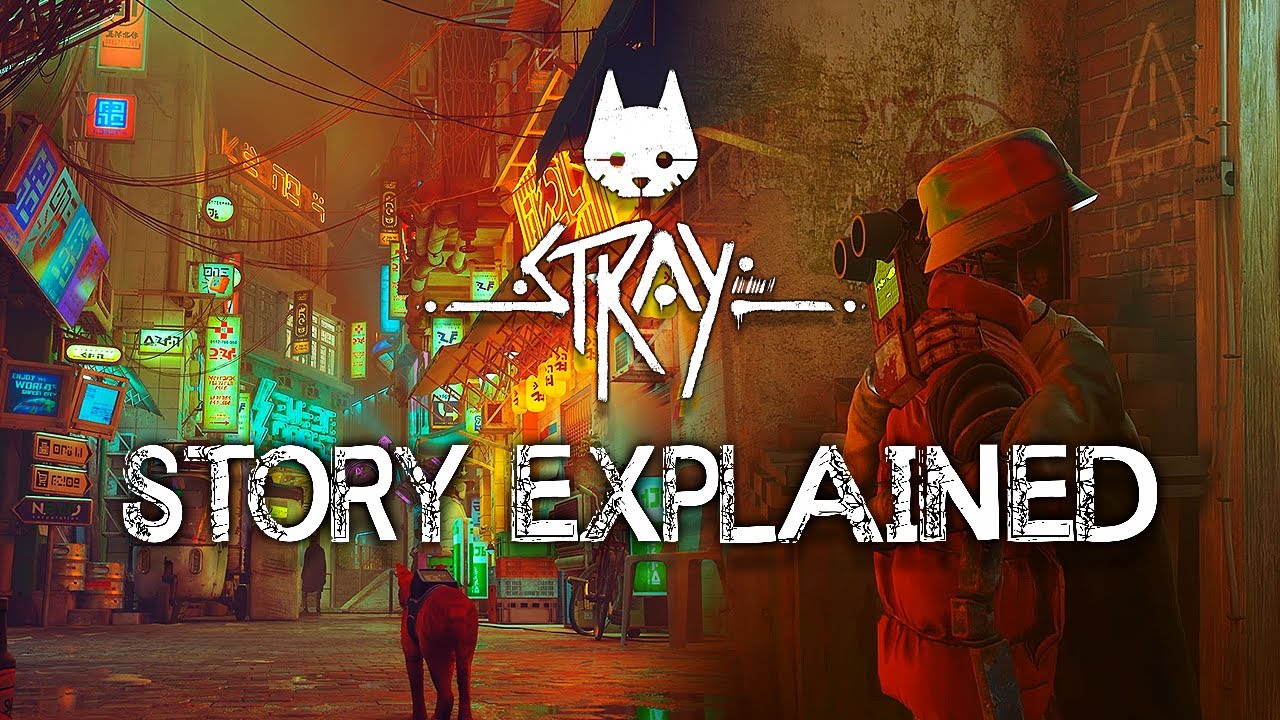 Stray - Story Explained - YouTube
