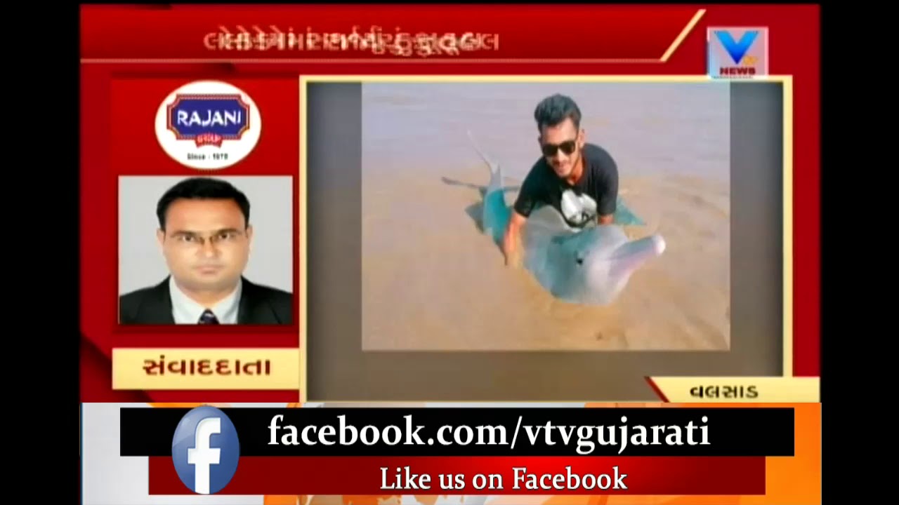 Valsad : A dolphin fish find in valsad coastal people getting surprised for this | Vtv News