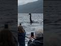 Un Touriste Capture Des Images Rares Du Monstre Du Loch Ness Dans Les Highlands écossaises mp3