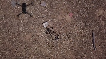 Mantis Claw with Mavic Pro