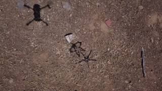 Mantis Claw with Mavic Pro