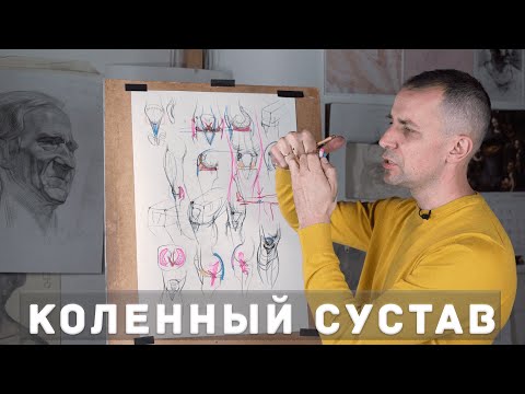 Коленный сустав - А. Рыжкин