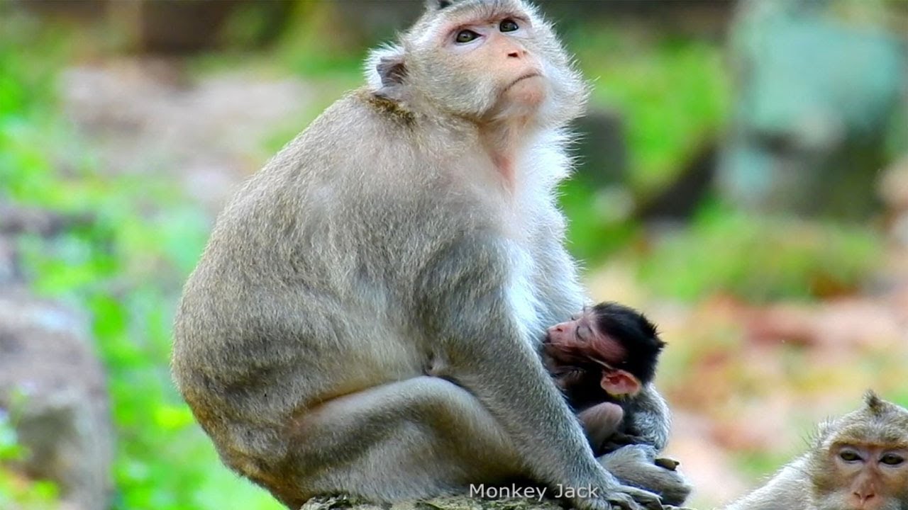 Breaking hearts! what happened to old mom Violet her very fear the