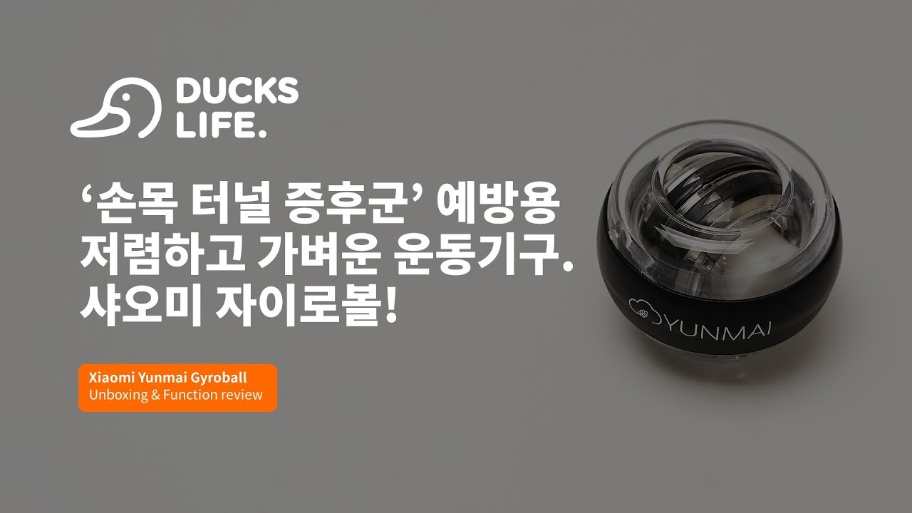 간단 리뷰] 샤오미 윤마이 자이로볼 (손목 운동기구) : 클리앙